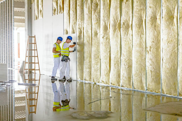 Best Geographic-Specific Insulation Services in Conyers, GA